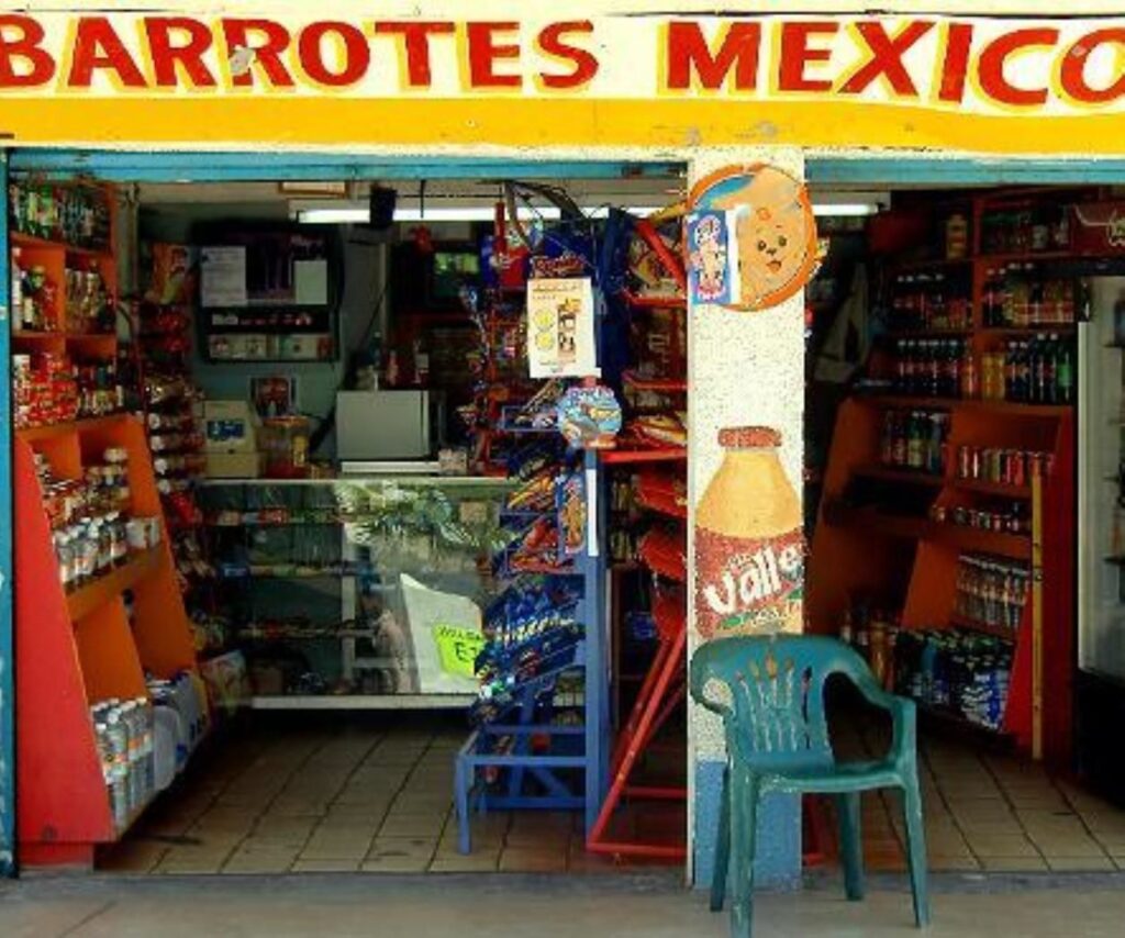 grocery stores in playa del carmen mexico