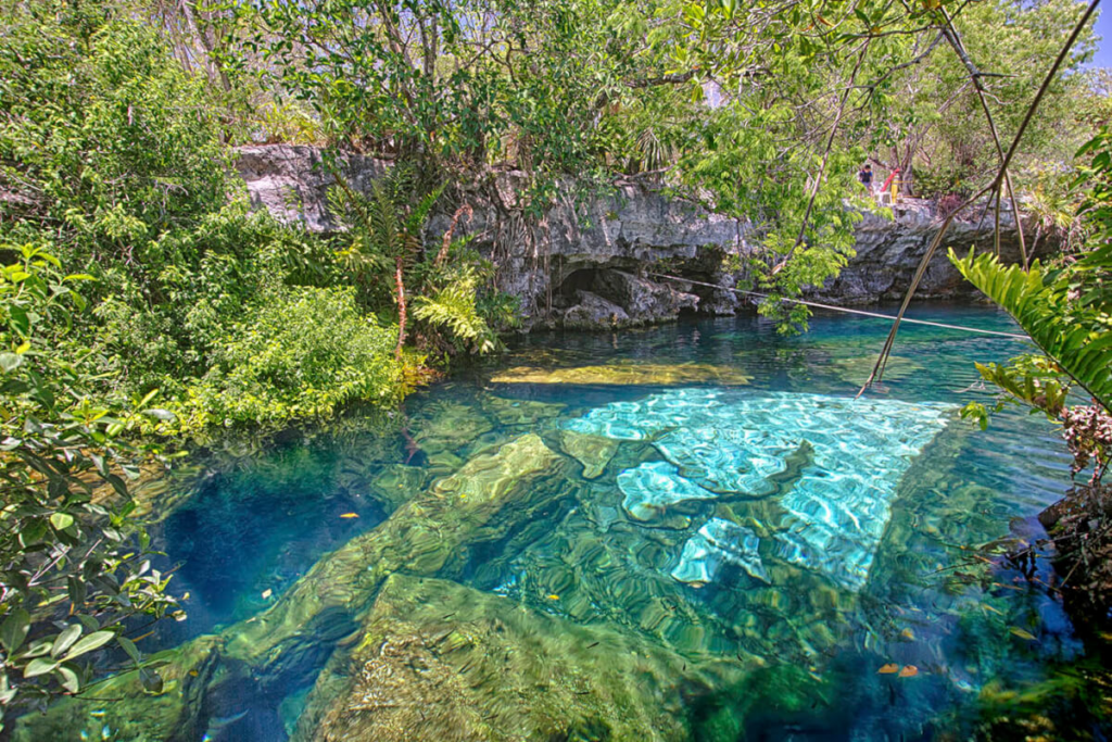 Top 10 Cenotes To Visit In The Mayan Riviera