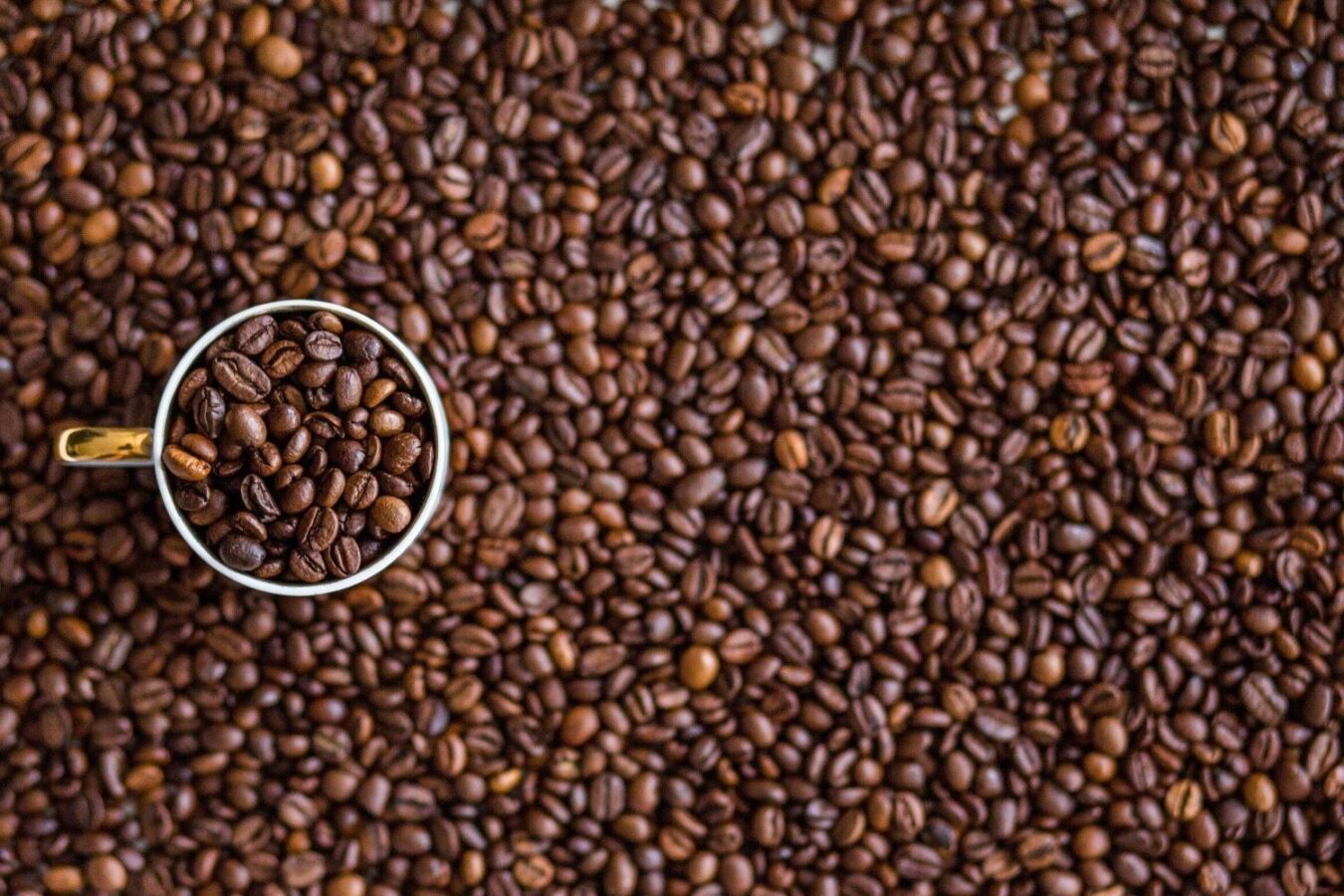 Why Is Mexican Coffee SO GOOD? The Story Behind The Flavor