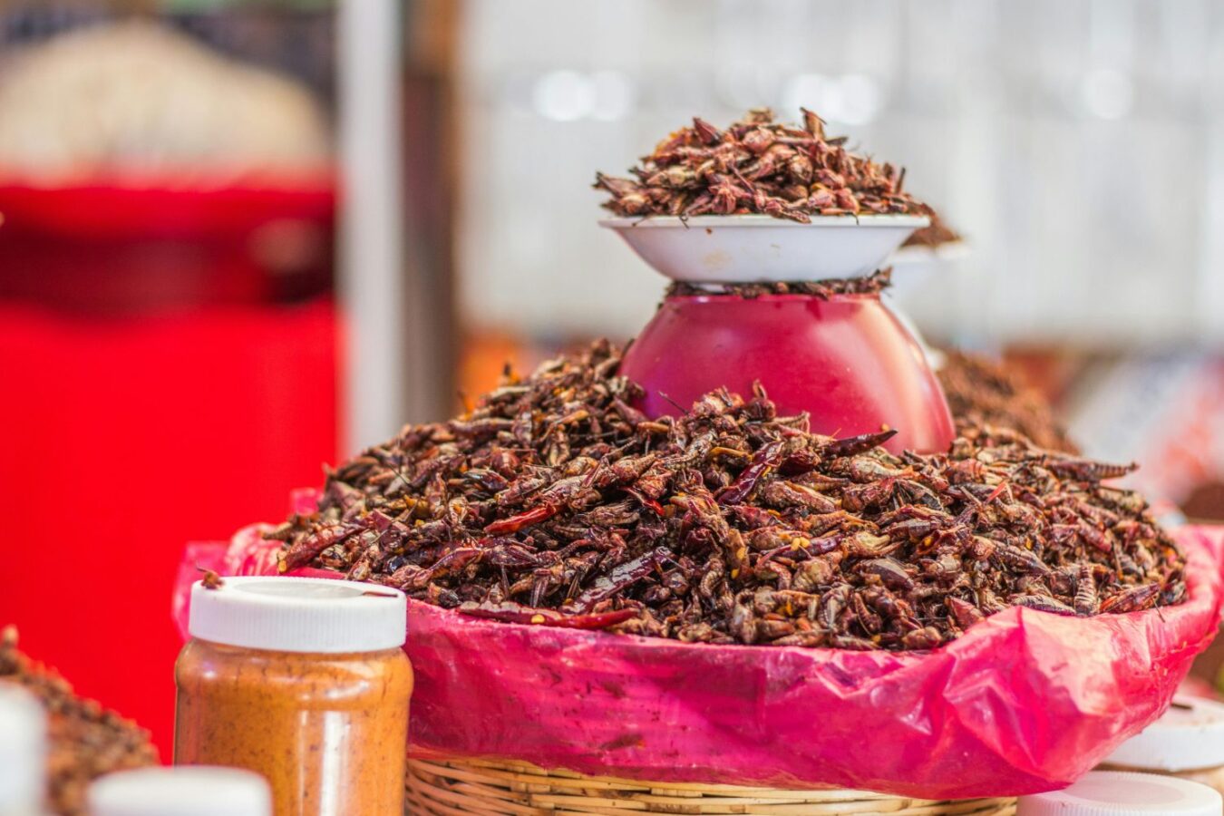 Top Mexican Edible Bugs